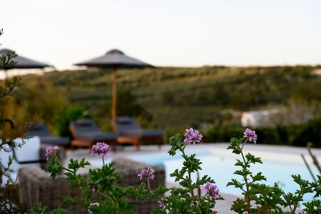 Ivy Villa Heraklion Gournes