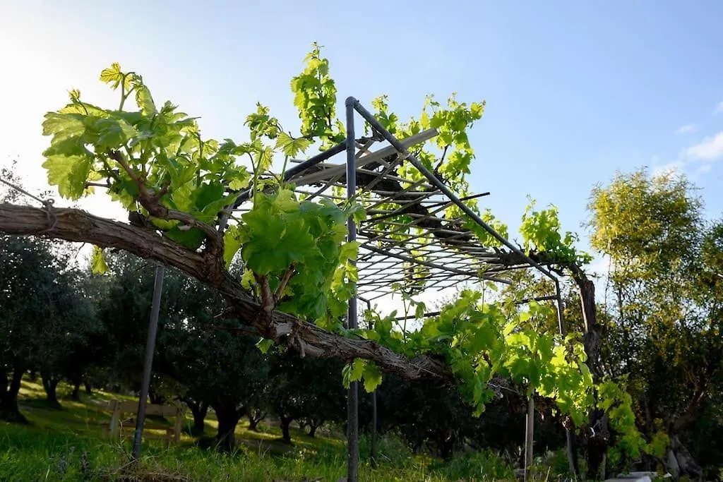 Ivy Villa Heraklion Gournes  0*, Gournes (Iraklion) Yunanistan